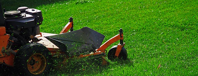 Lawn Mowing Service, Lawn Service and Lawn Care Services